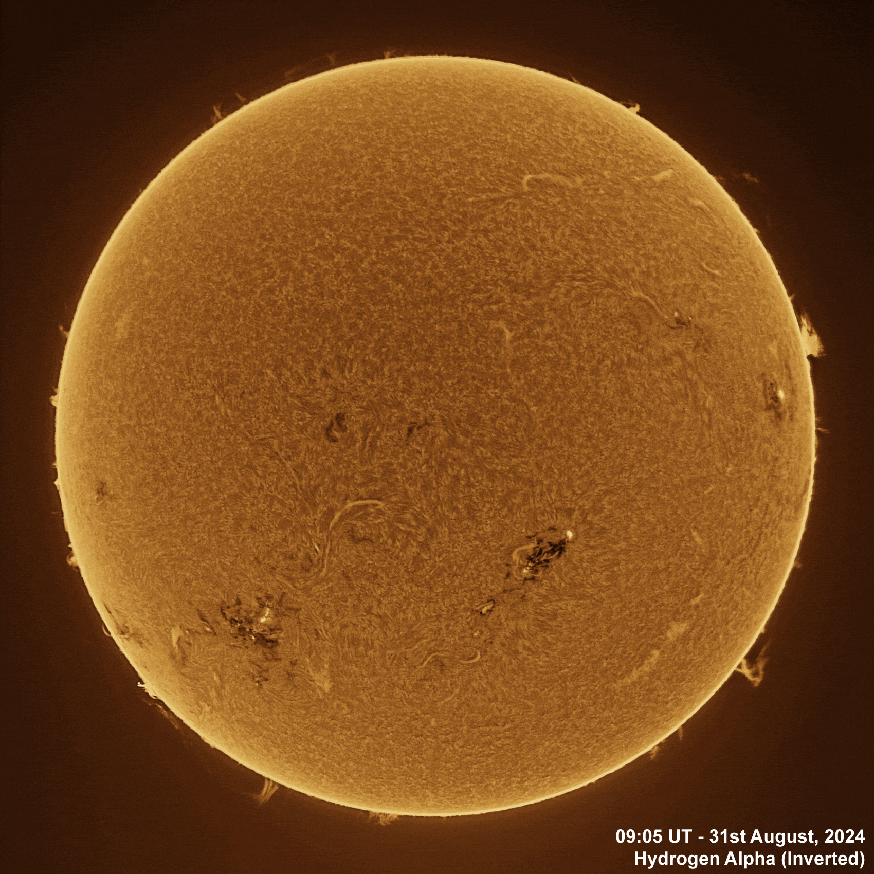 31st August 2024 Solar animation - Ha and White Light, 31st August, 2024