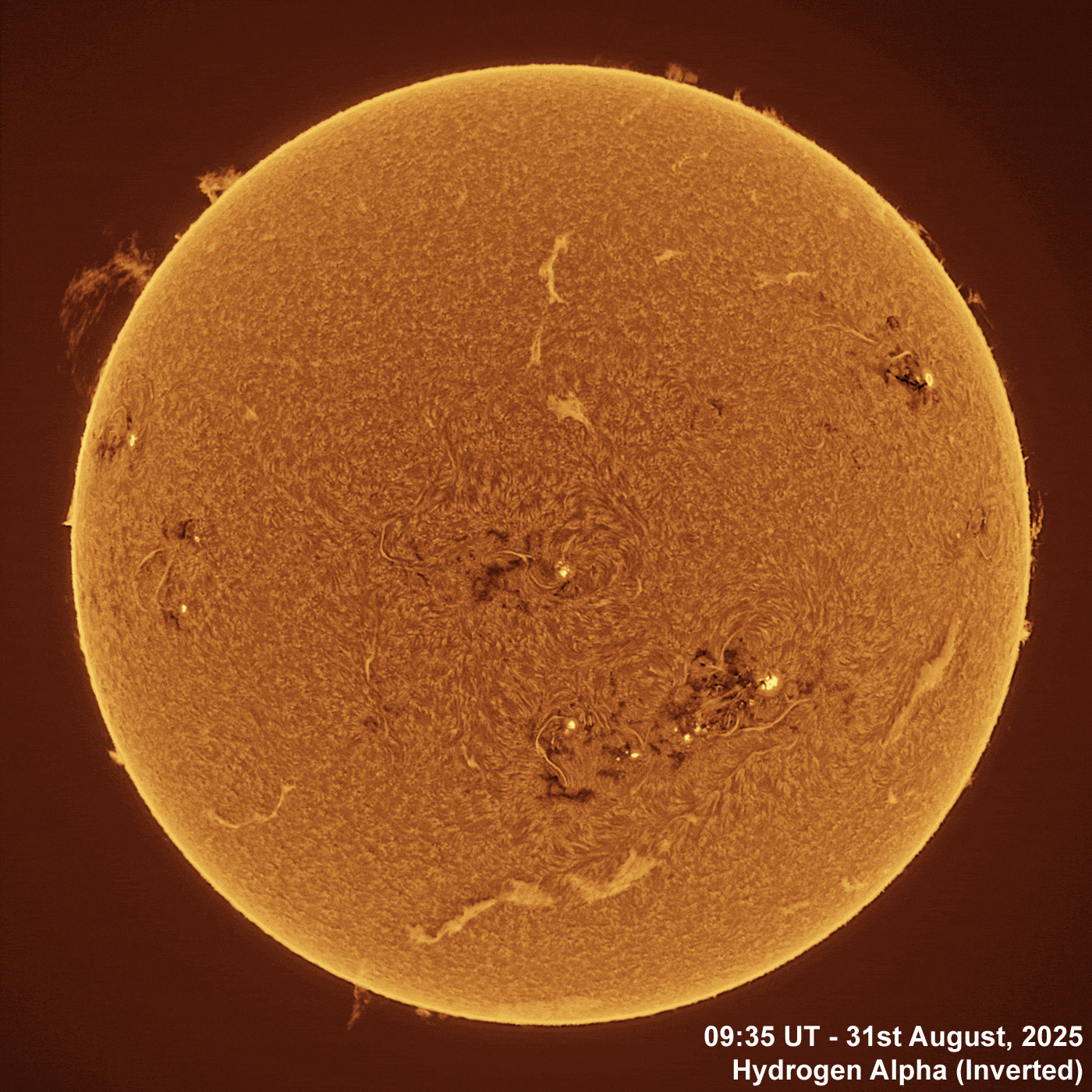 31st August 2025 