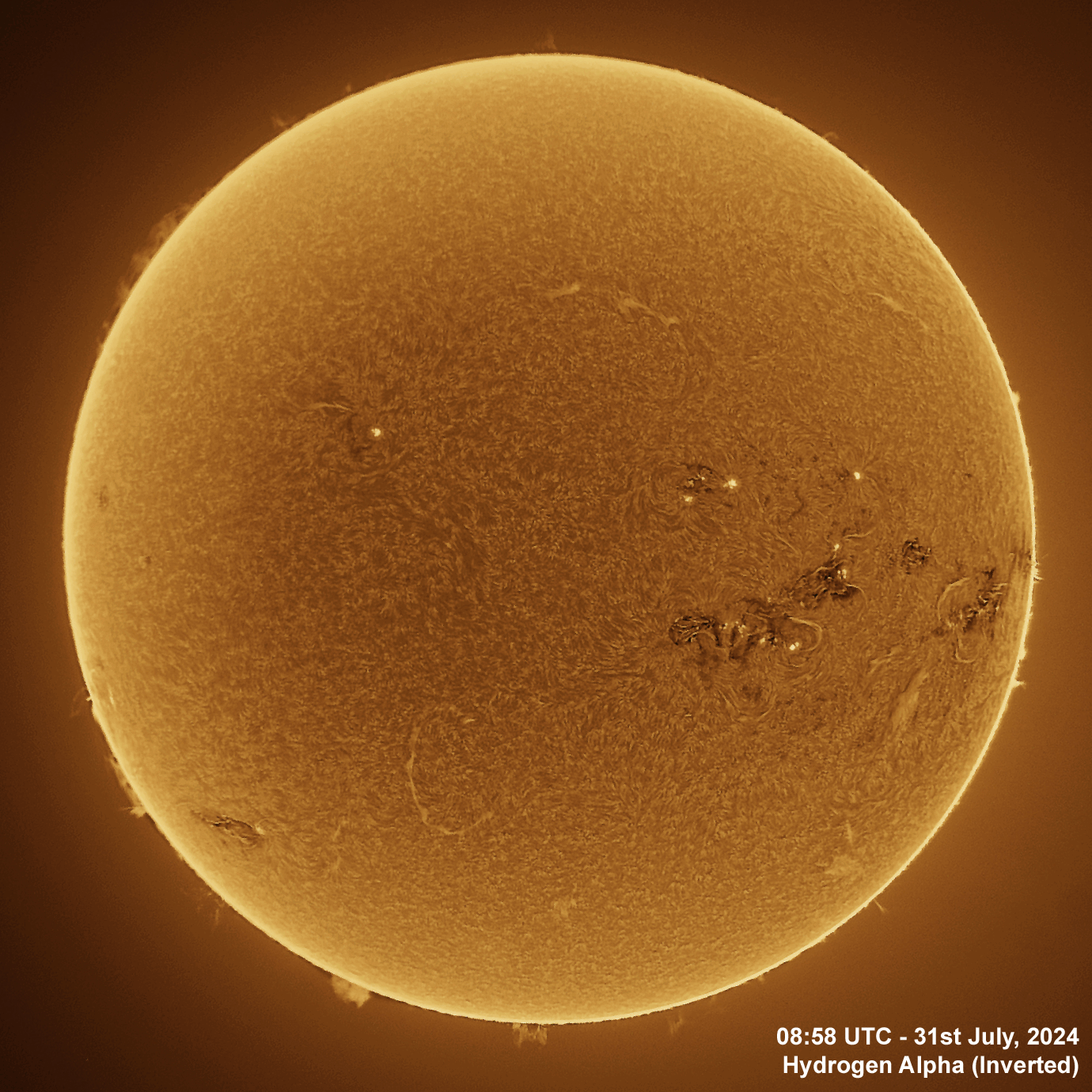 31st July 2024 Solar animation - Ha and White Light, 31st July, 2024