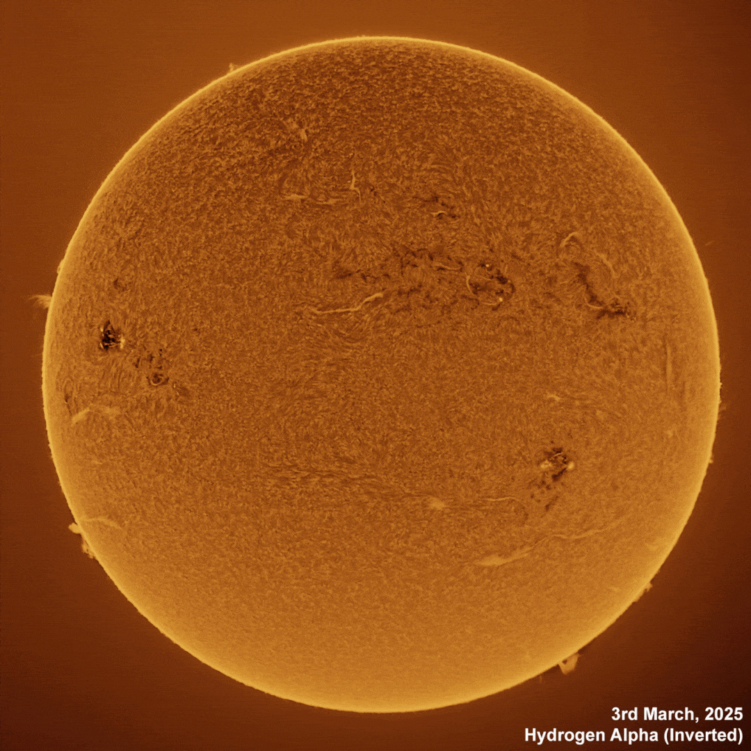 3rd March 2025 Solar animation - Ha and White Light, 3rd March, 2025