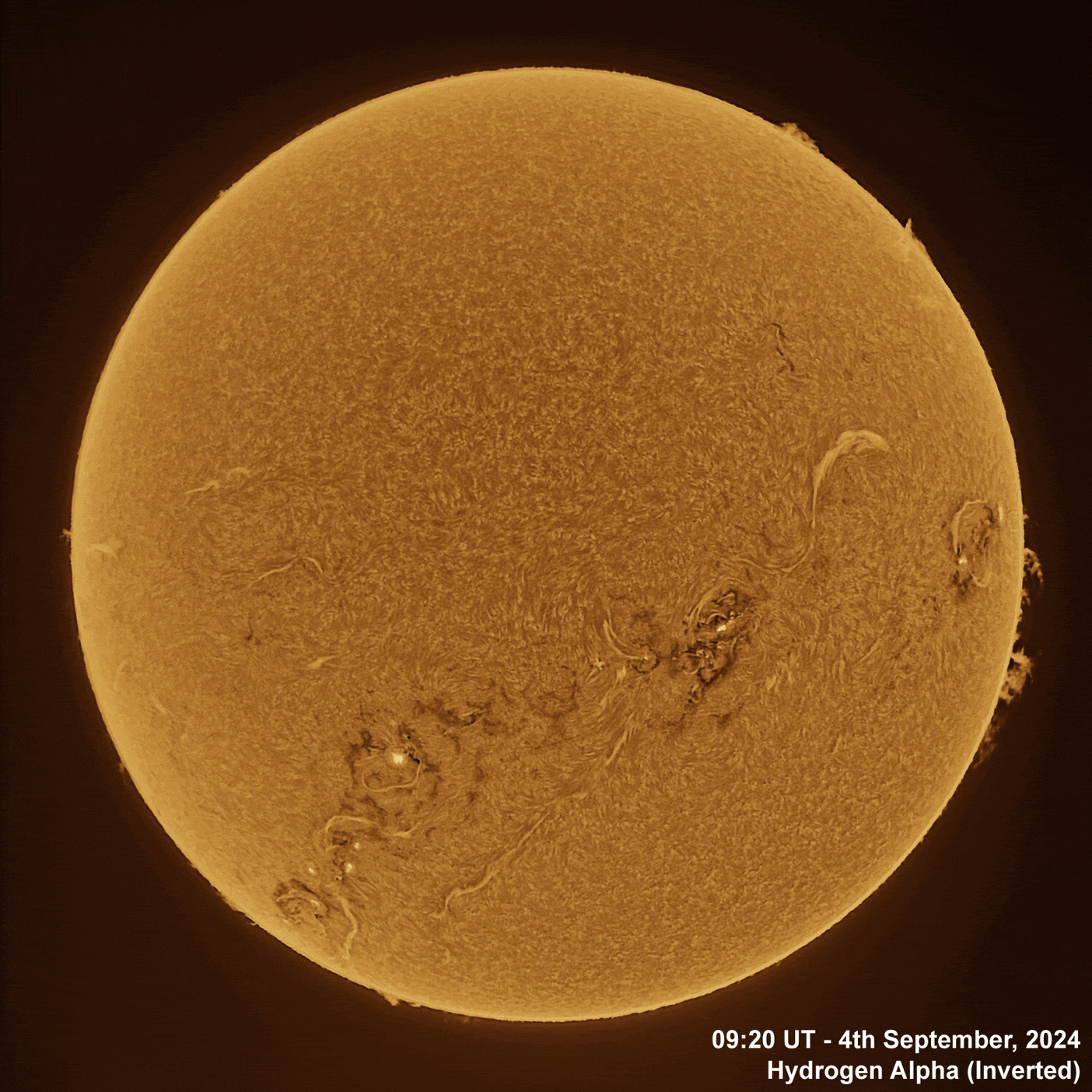 4th Sept 2024 Solar animation - Ha and White Light, 4th September, 2024