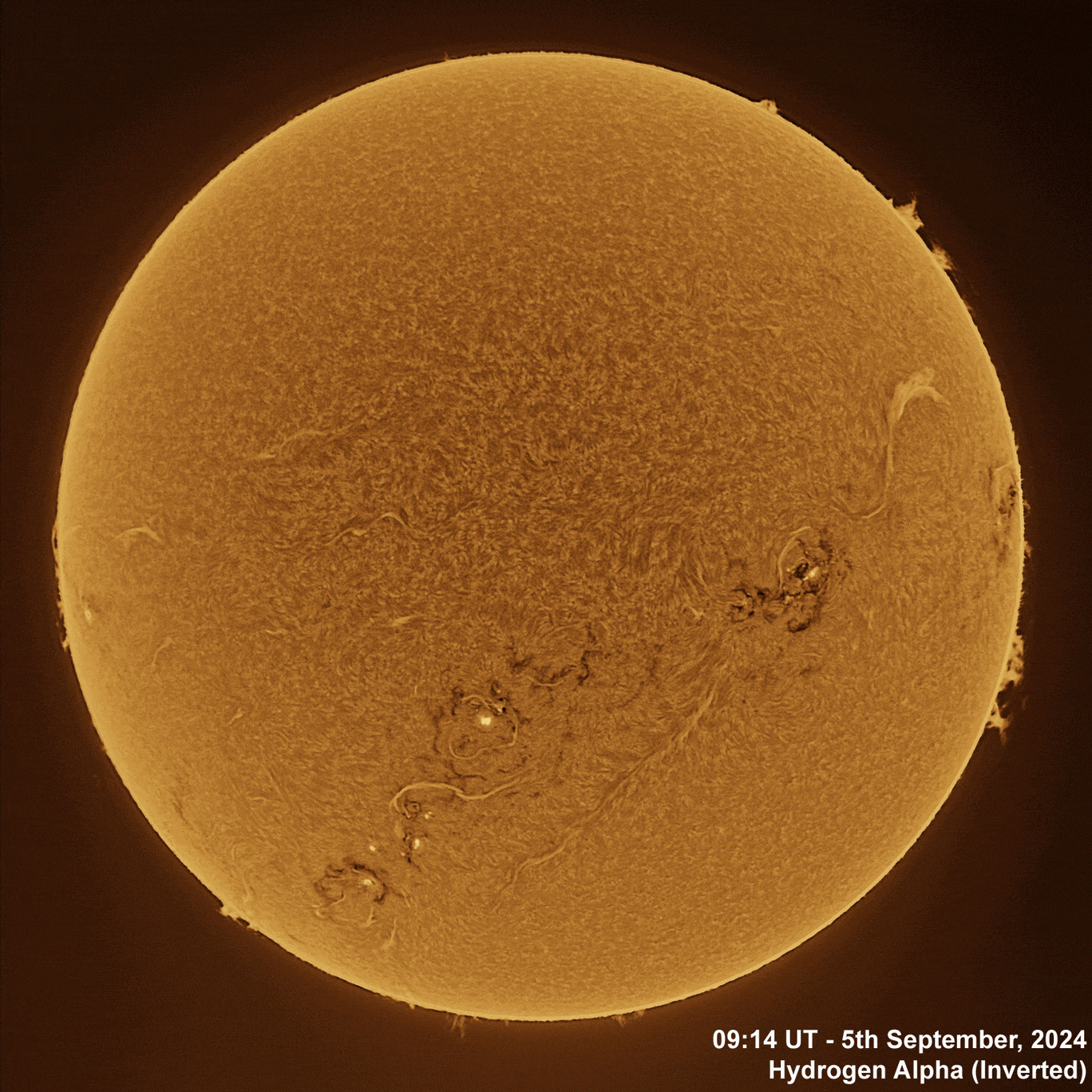 5th Sept 2024 Solar animation - Ha and White Light, 5th September, 2024