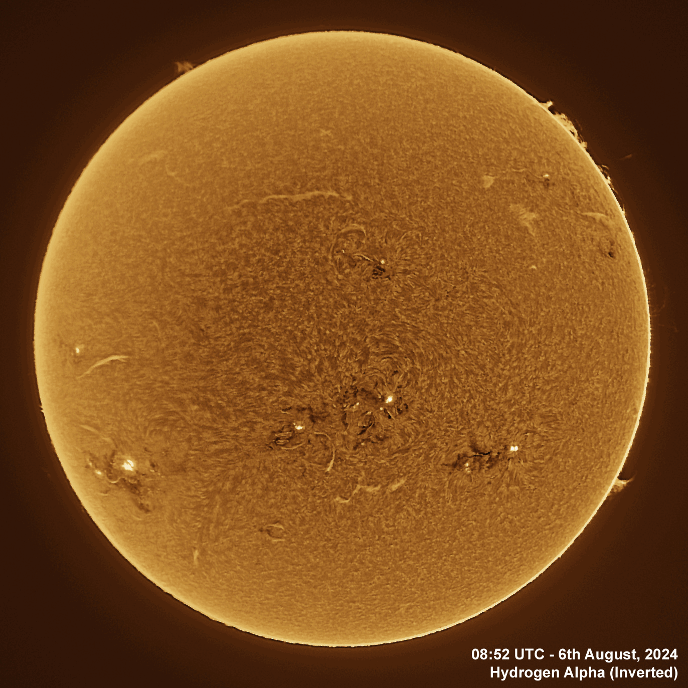 6th August 2024 Solar animation - Ha and White Light, 6th August, 2024