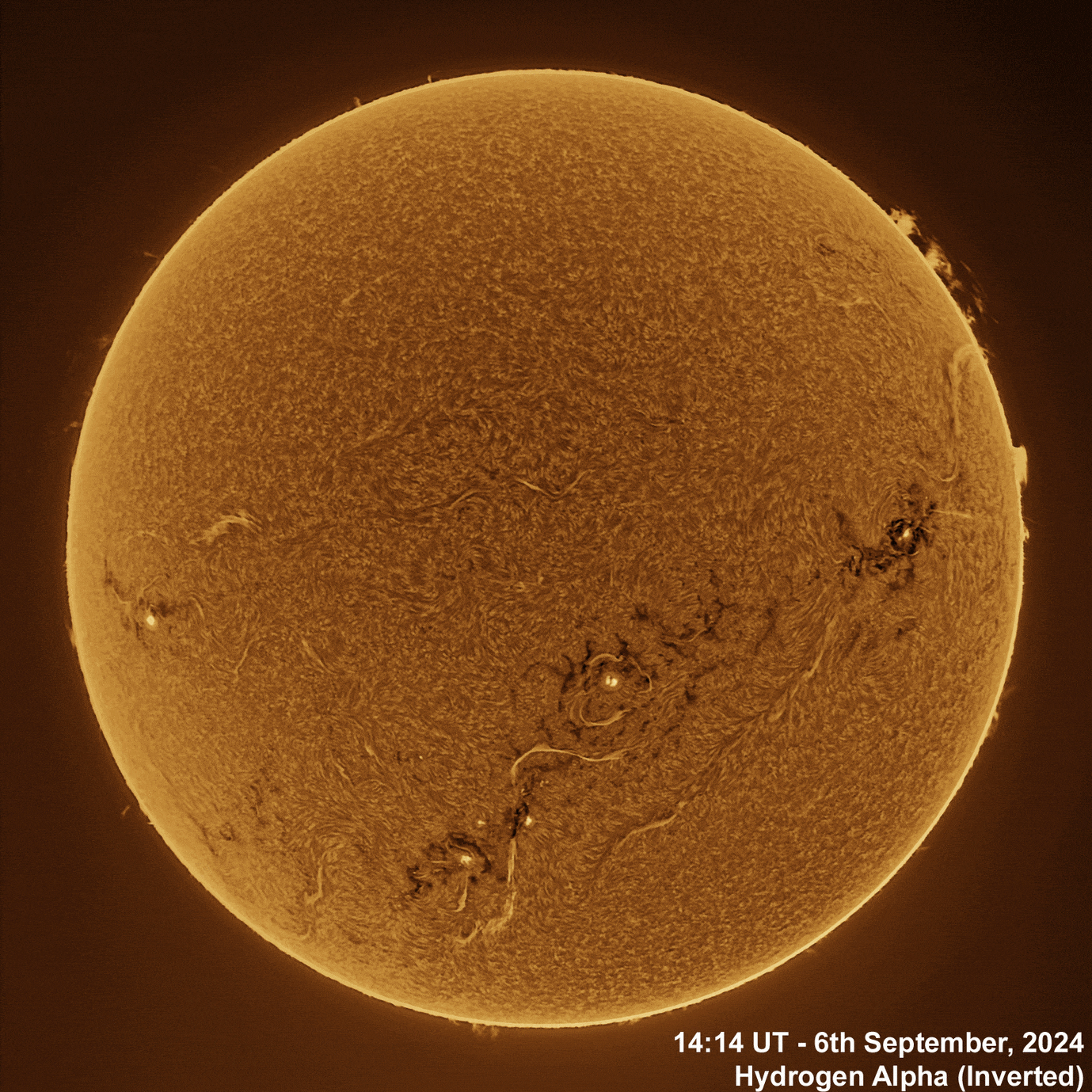 6th September 2024 Solar animation - Ha and White Light, 6th September, 2024