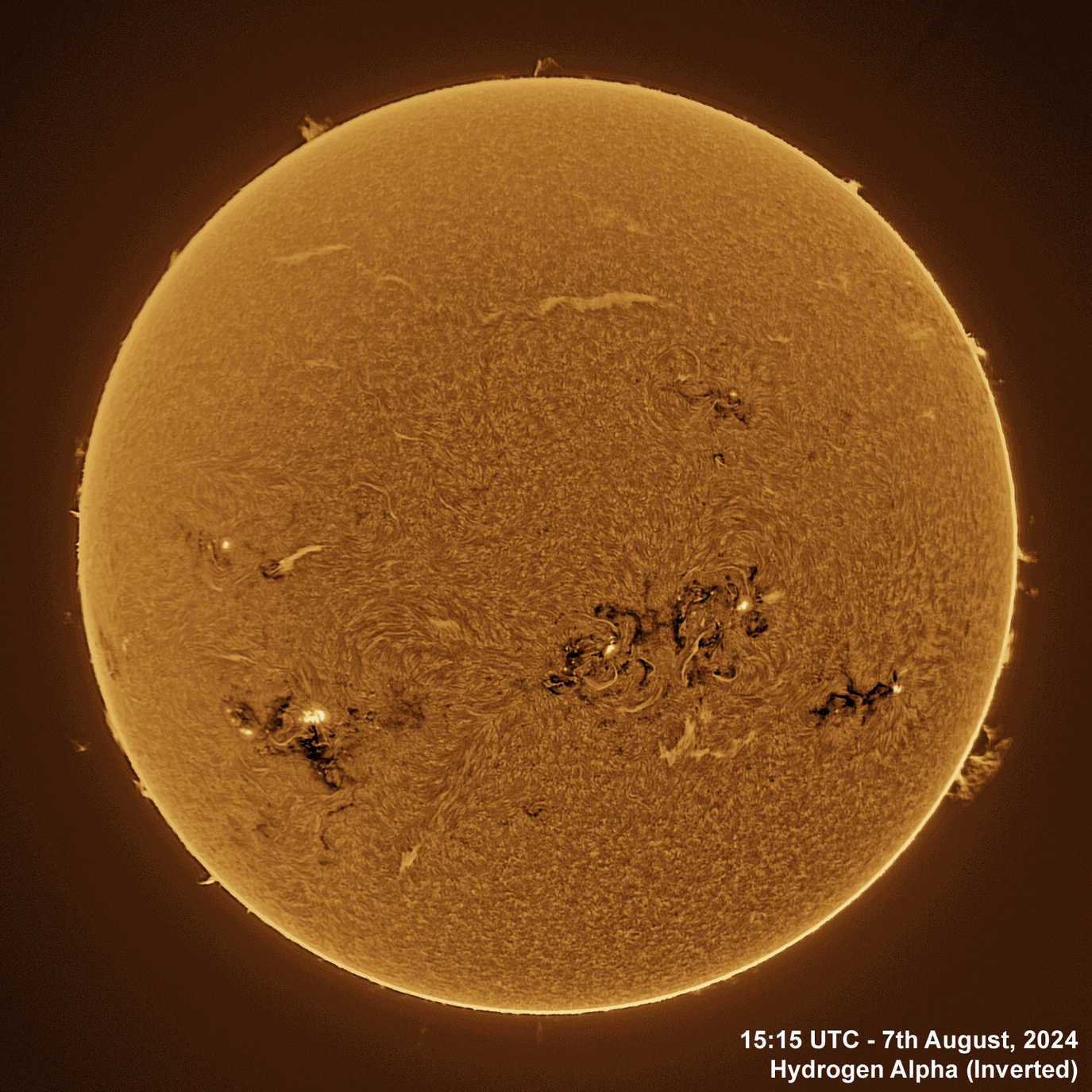 7th August 2024 Solar animation - Ha and White Light, 7th August, 2024