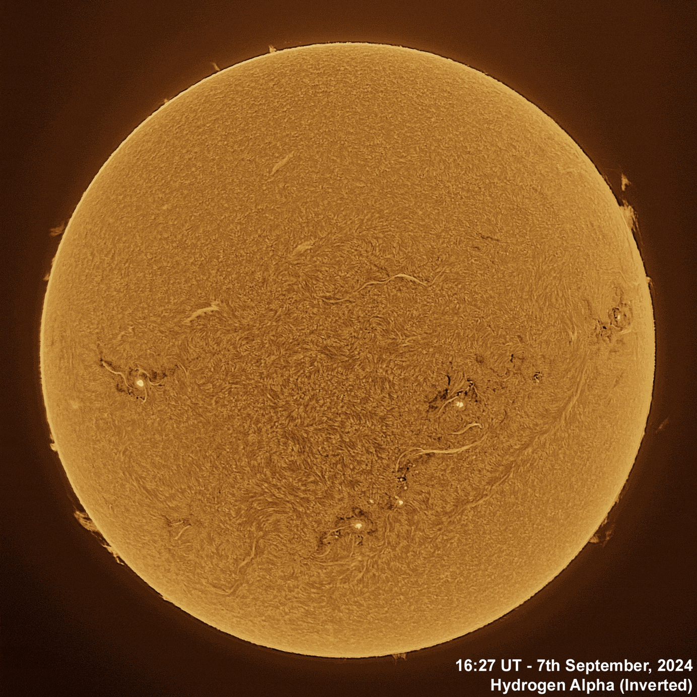 7th September 2024 Solar animation - Ha and White Light, 7th September, 2024