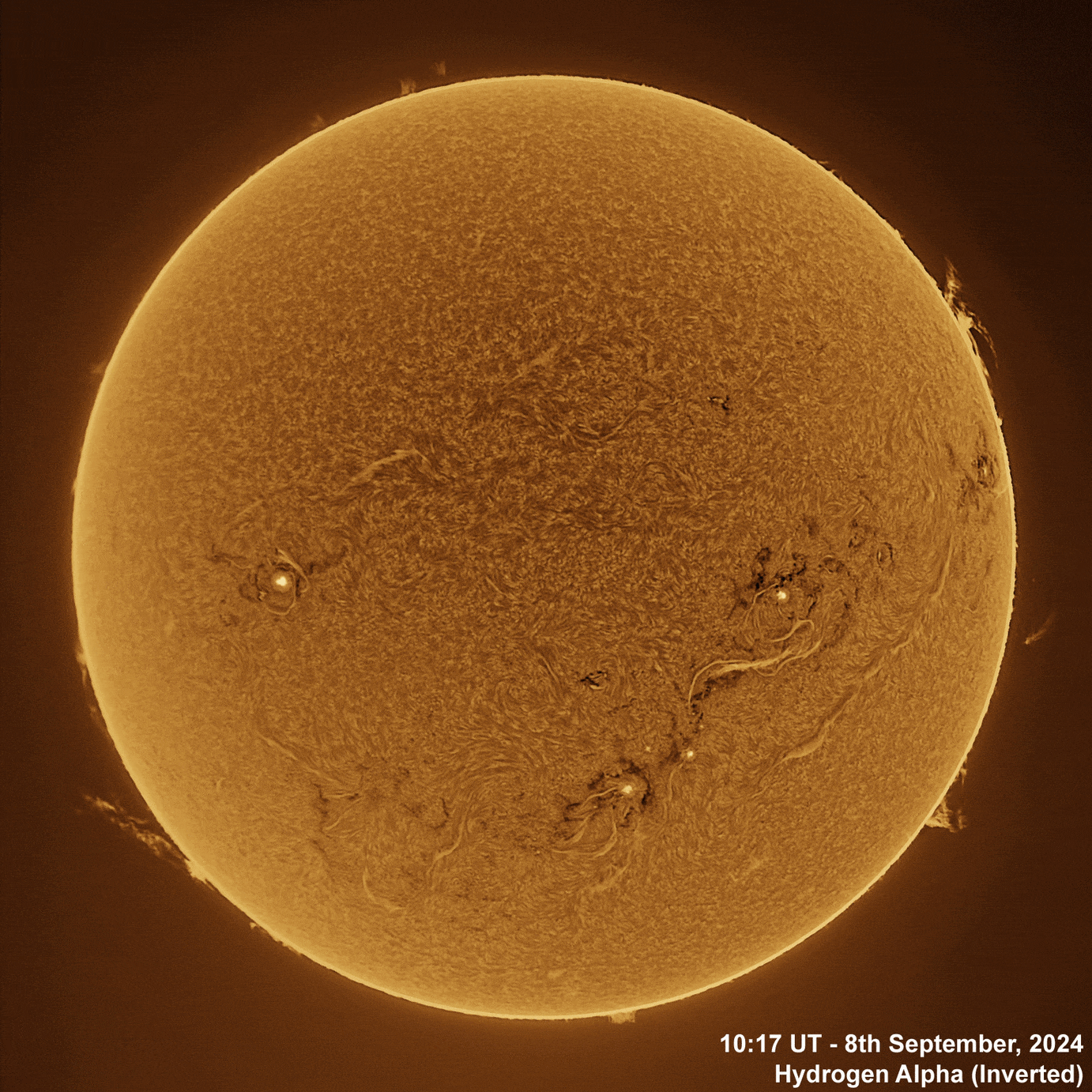 8th September 2024 Solar animation - Ha and White Light, 8th September, 2024