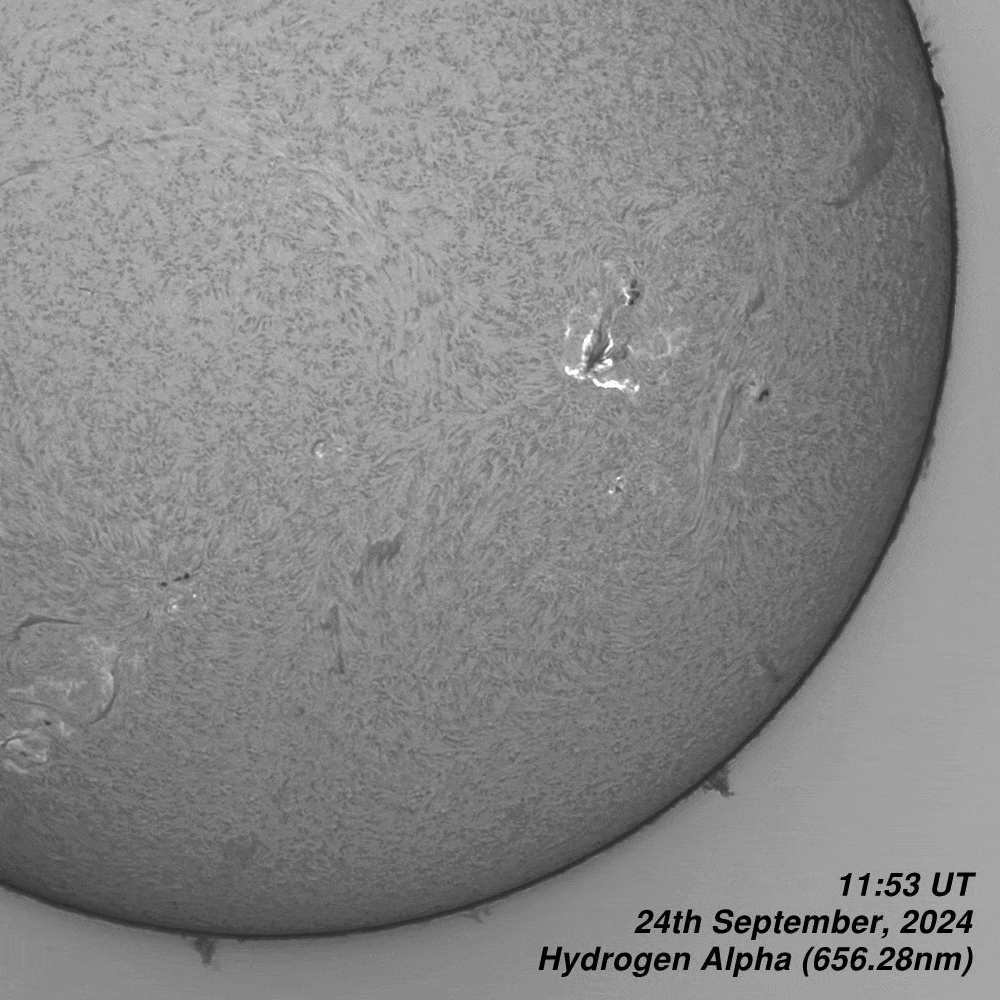 BT_20240924_AR3828_1153-1217UT Solar Animation - 11:53-12:17UT - 24th September 2024