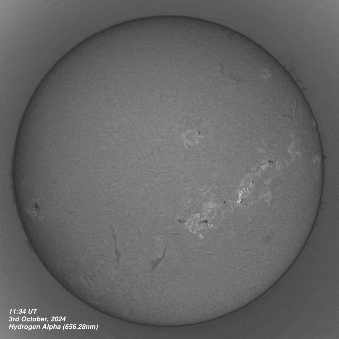 BT_AR3842_X9-05_Flare_20241003_Ha X9.05 Solar Flare AR3842 - 3rd October 2024
