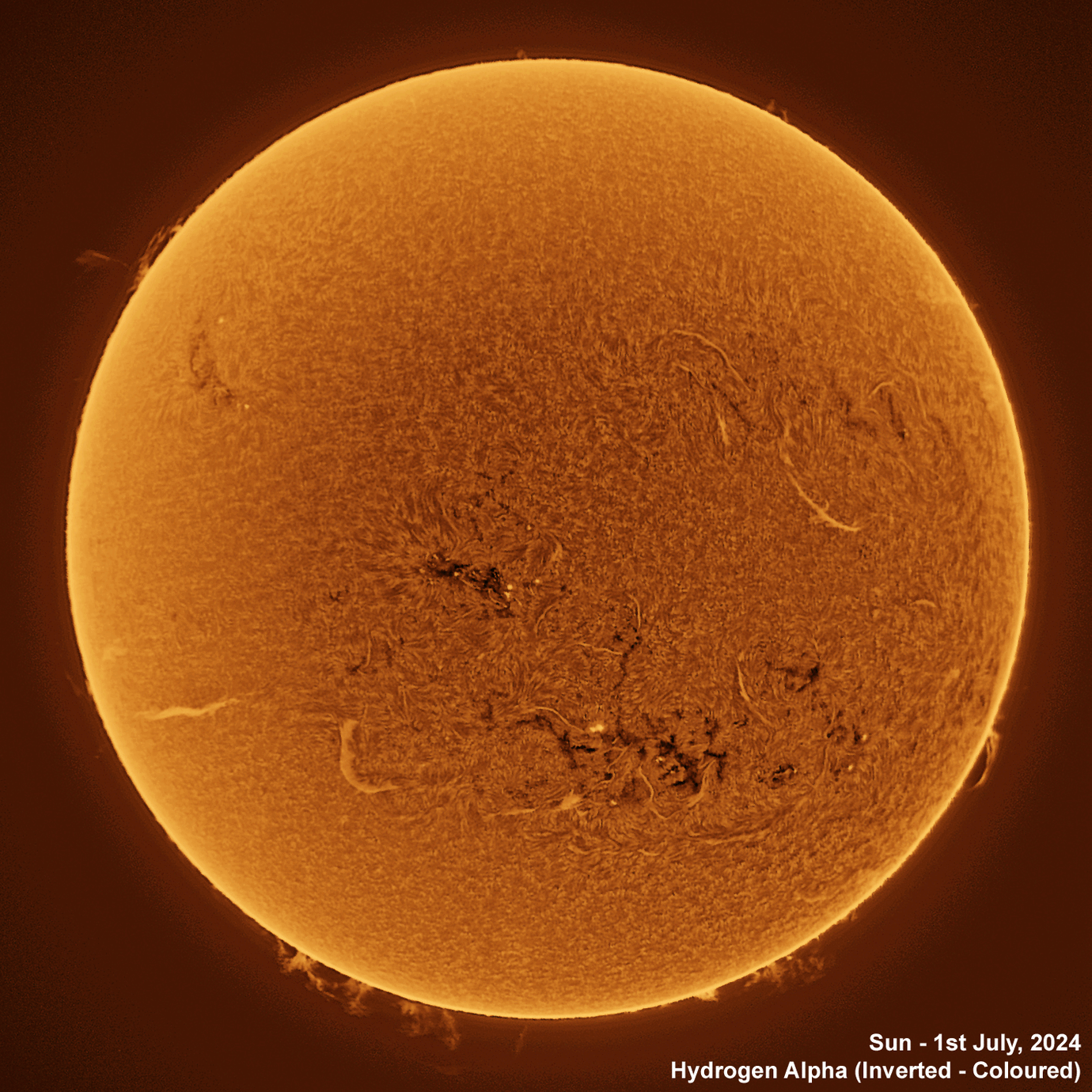 Sun - 1st July 2024 Solar animation - Ha and White Light, 1st July, 2024
