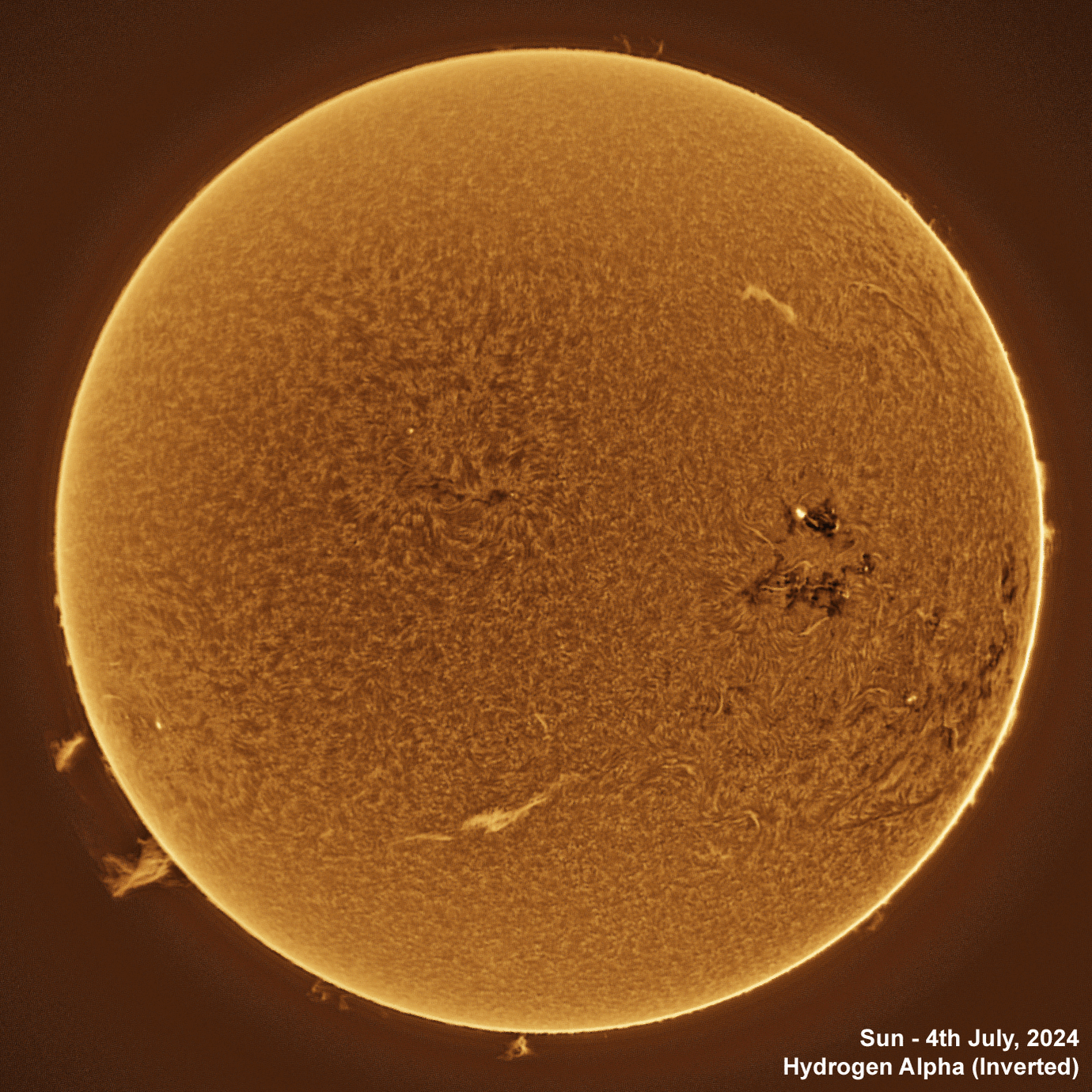 Sun - 2024-07-04 Solar animation - Ha and White Light, 4th July, 2024
