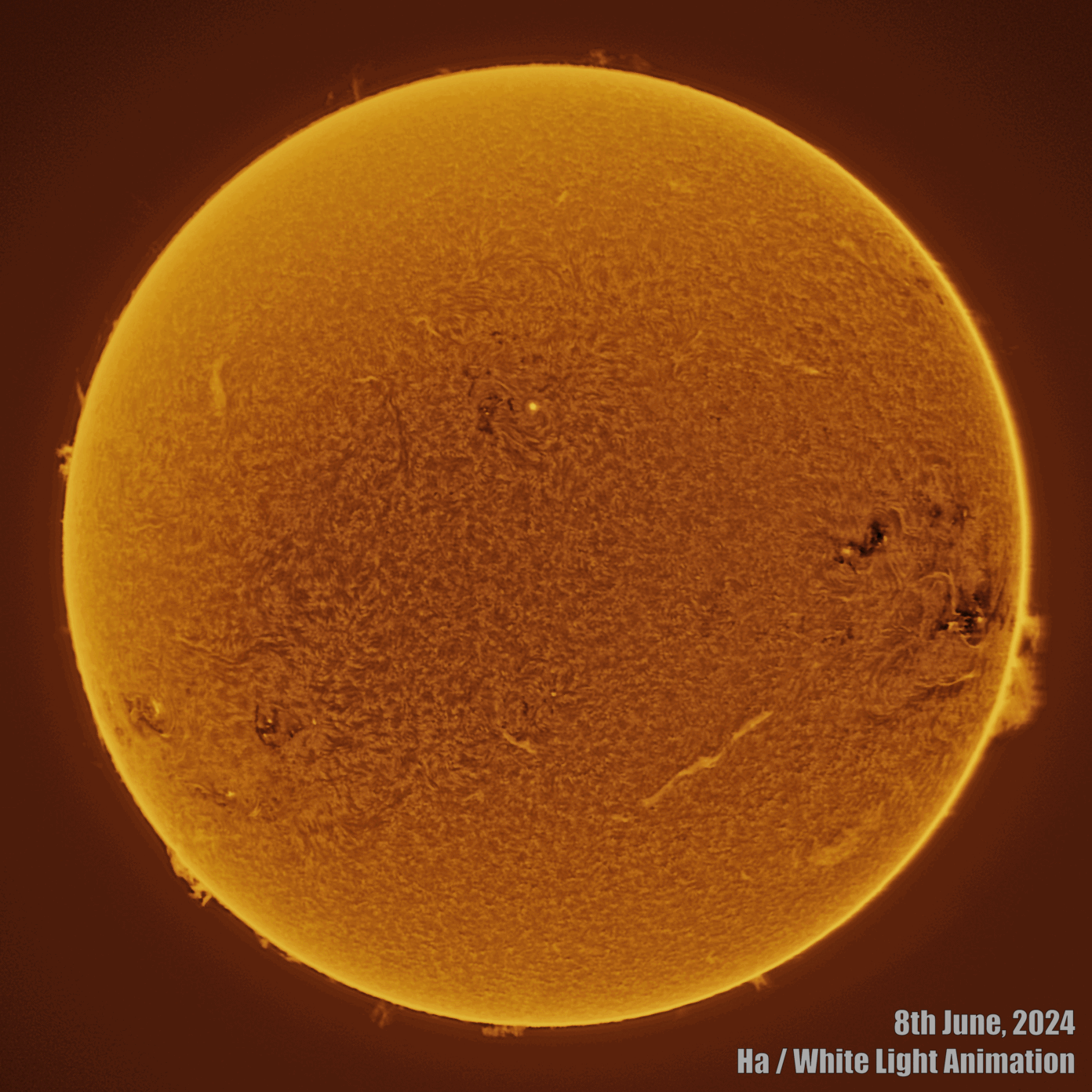 Sun - 8th June 2024b Solar animation - Ha and White Light, 8th June, 2024
