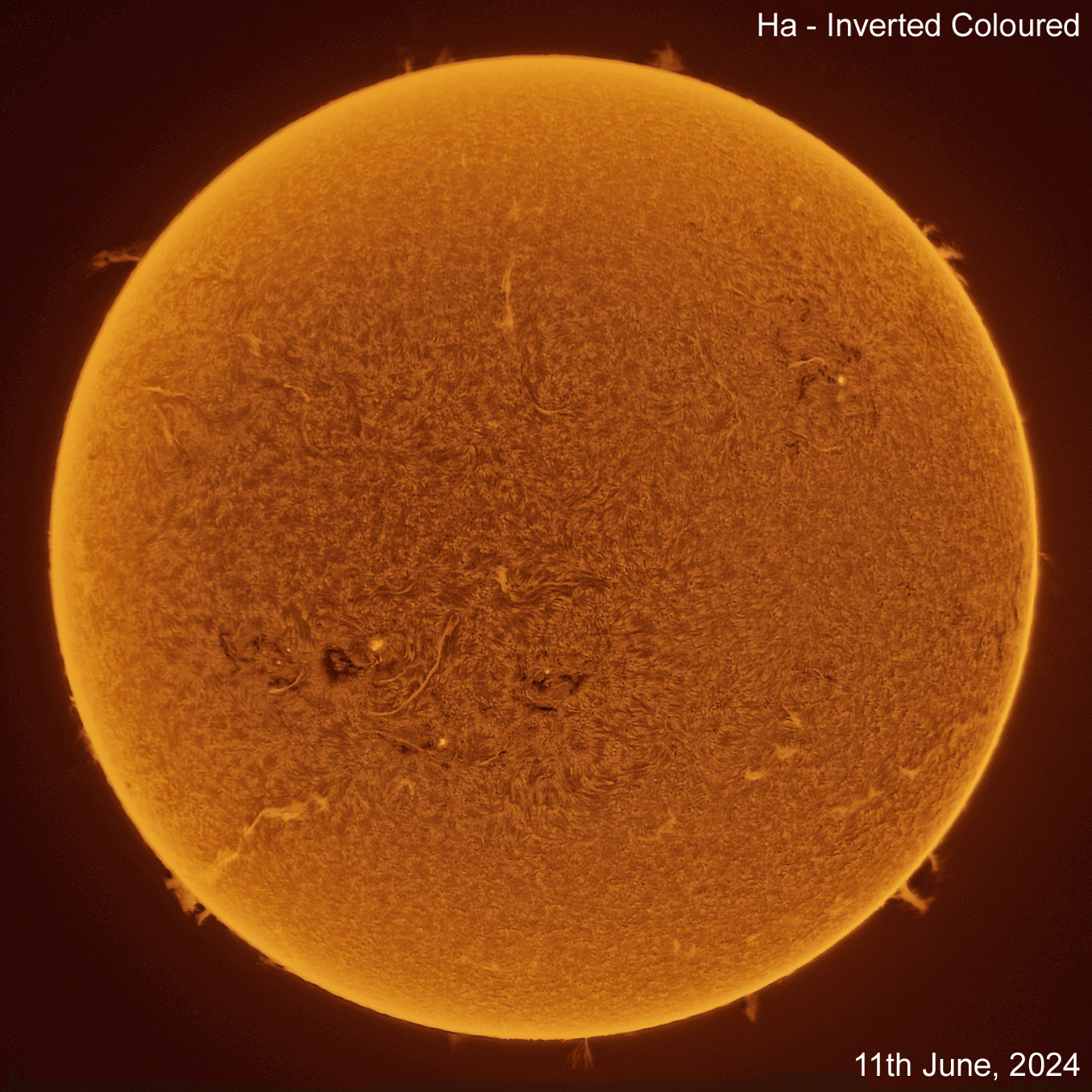 Sun 11-06-2024 Sun in Ha - 11th June, 2024