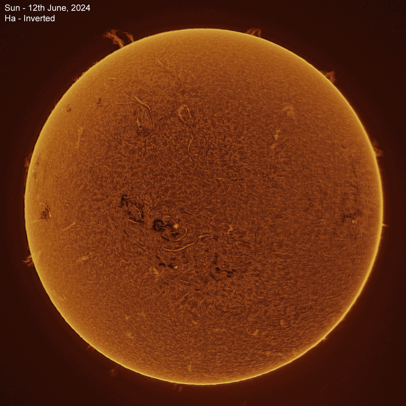 Sun 12-06-2024 Solar animation - Ha and White Light, 12th June, 2024