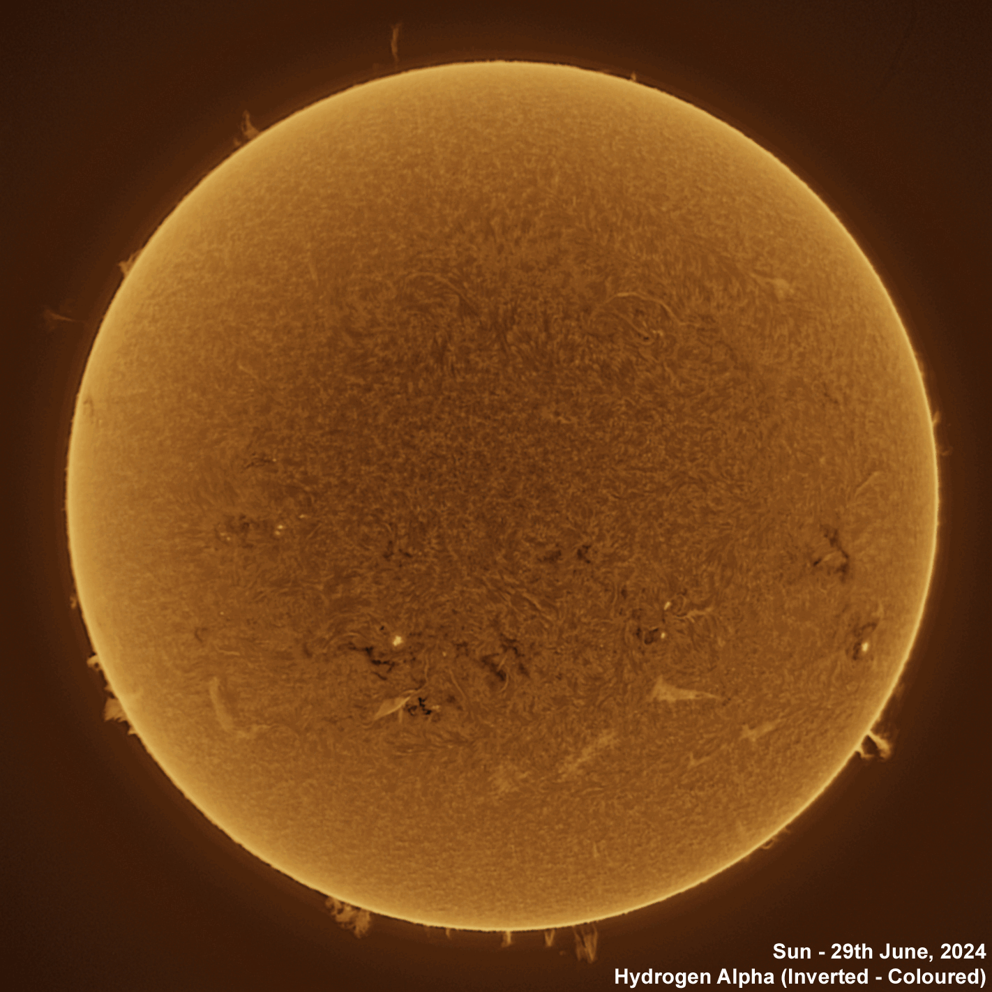 Sun 29-06-2024 Solar animation - Ha and White Light, 29th June, 2024
