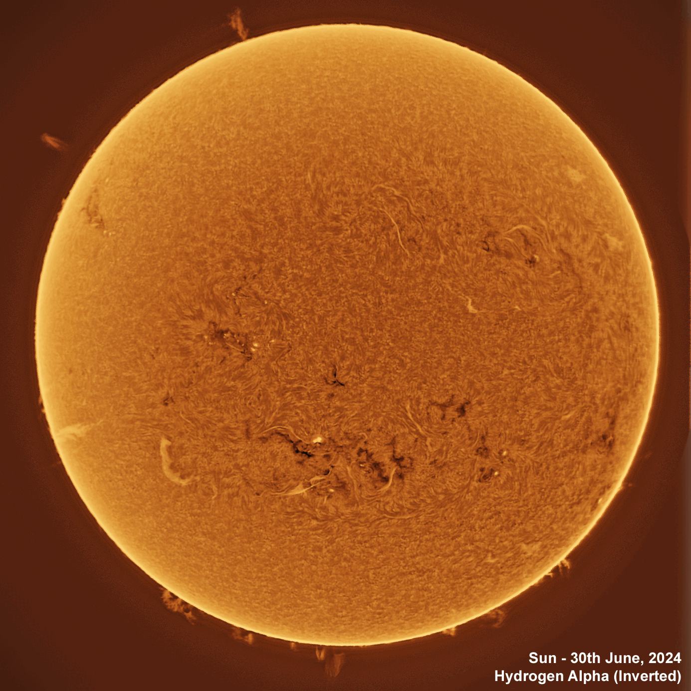 Sun-30th June 2024 Solar animation - Ha and White Light, 30th June, 2024