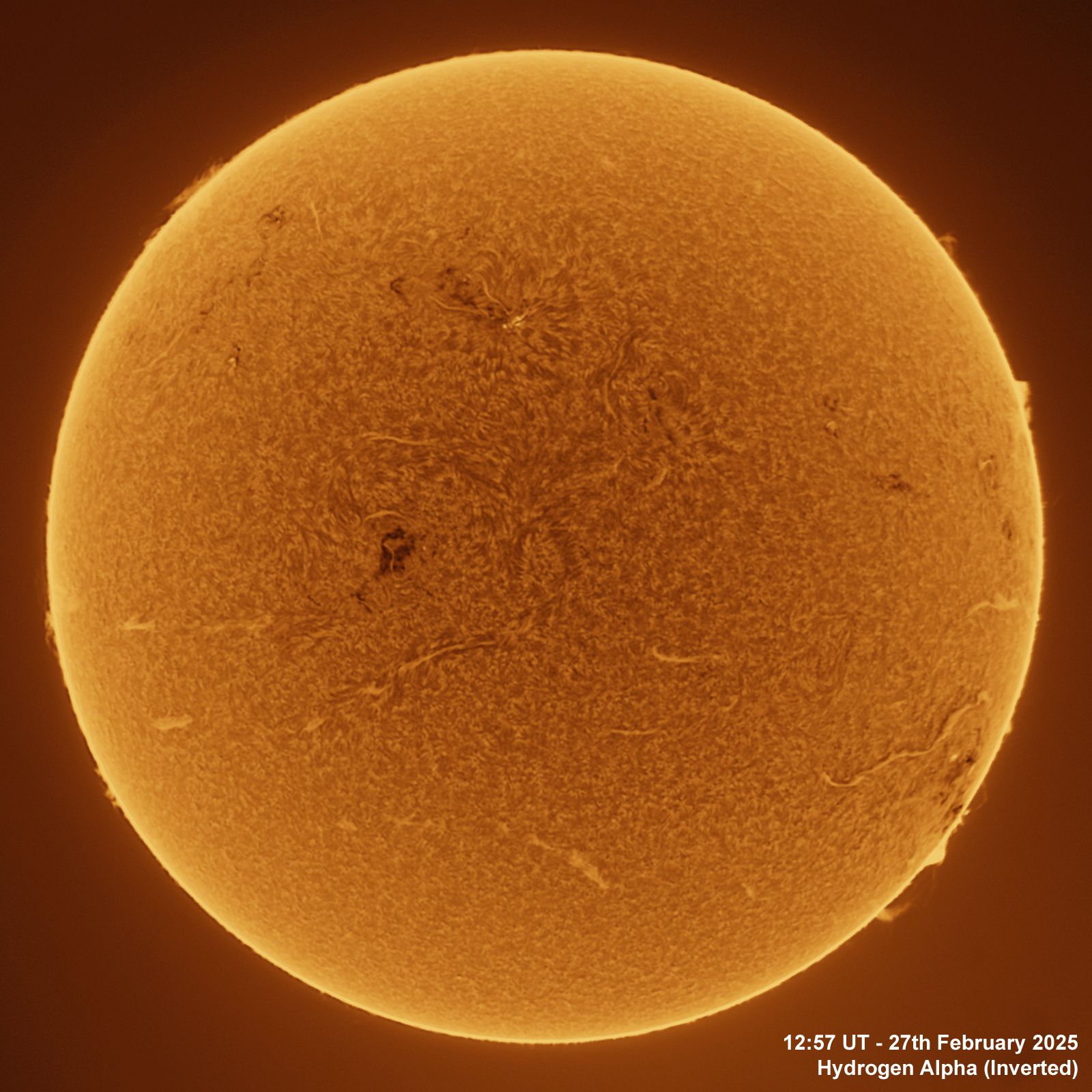 20250227_1257UT_Ha-Inverted The Sun in Ha - 27th February, 2025
