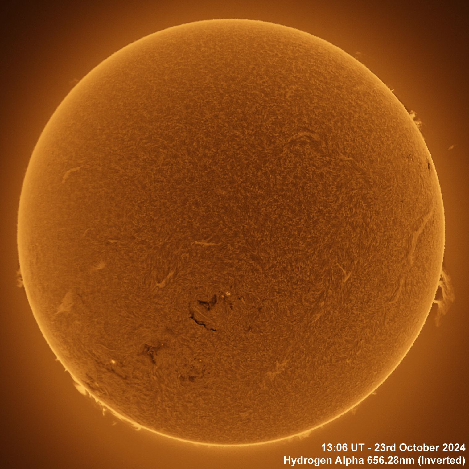 BT_20241023_1306UT_Ha Inverted Ha - 23rd October, 2024