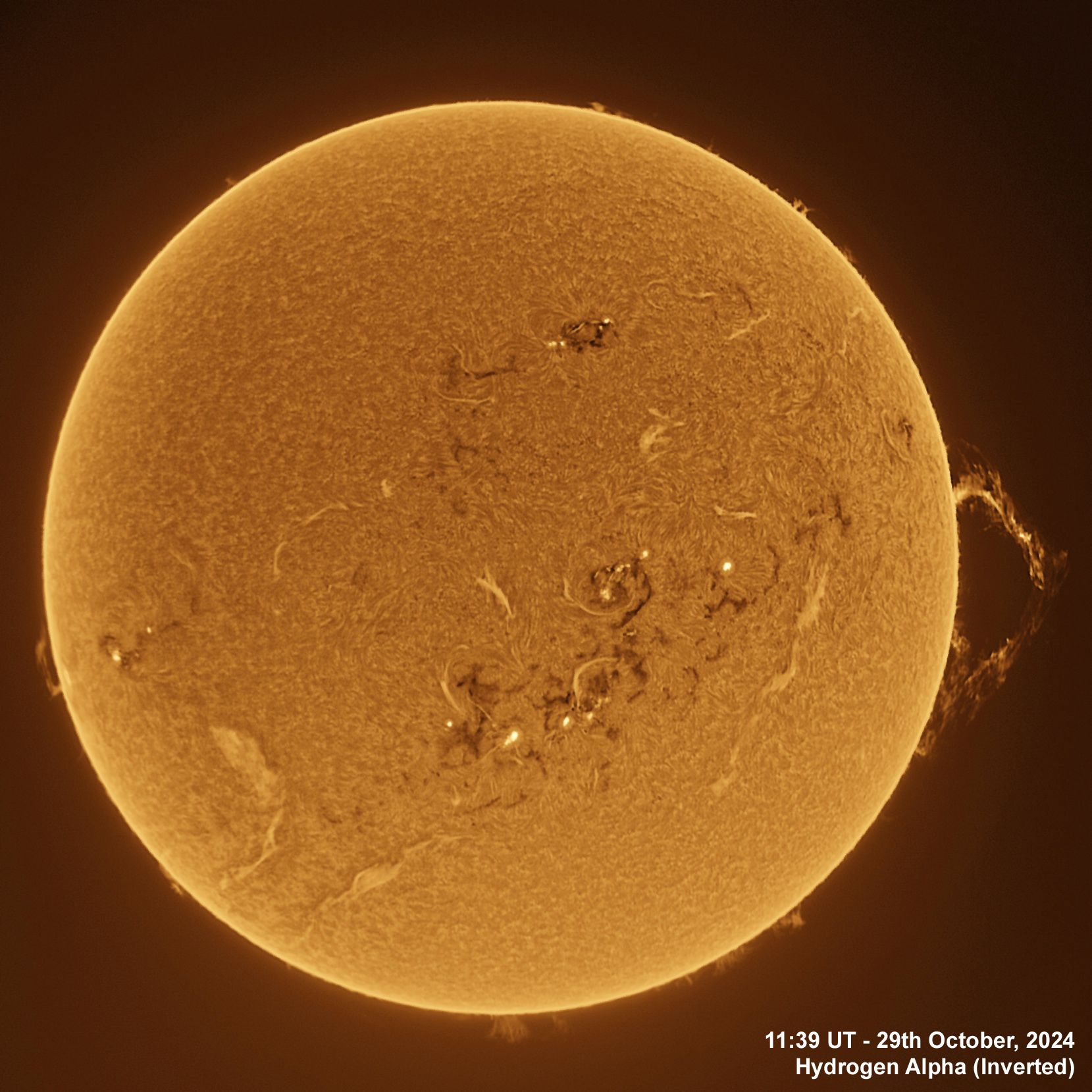 BT_20241029_1139UT_Ha Inverted The Sun in Ha - 29th October, 2024
