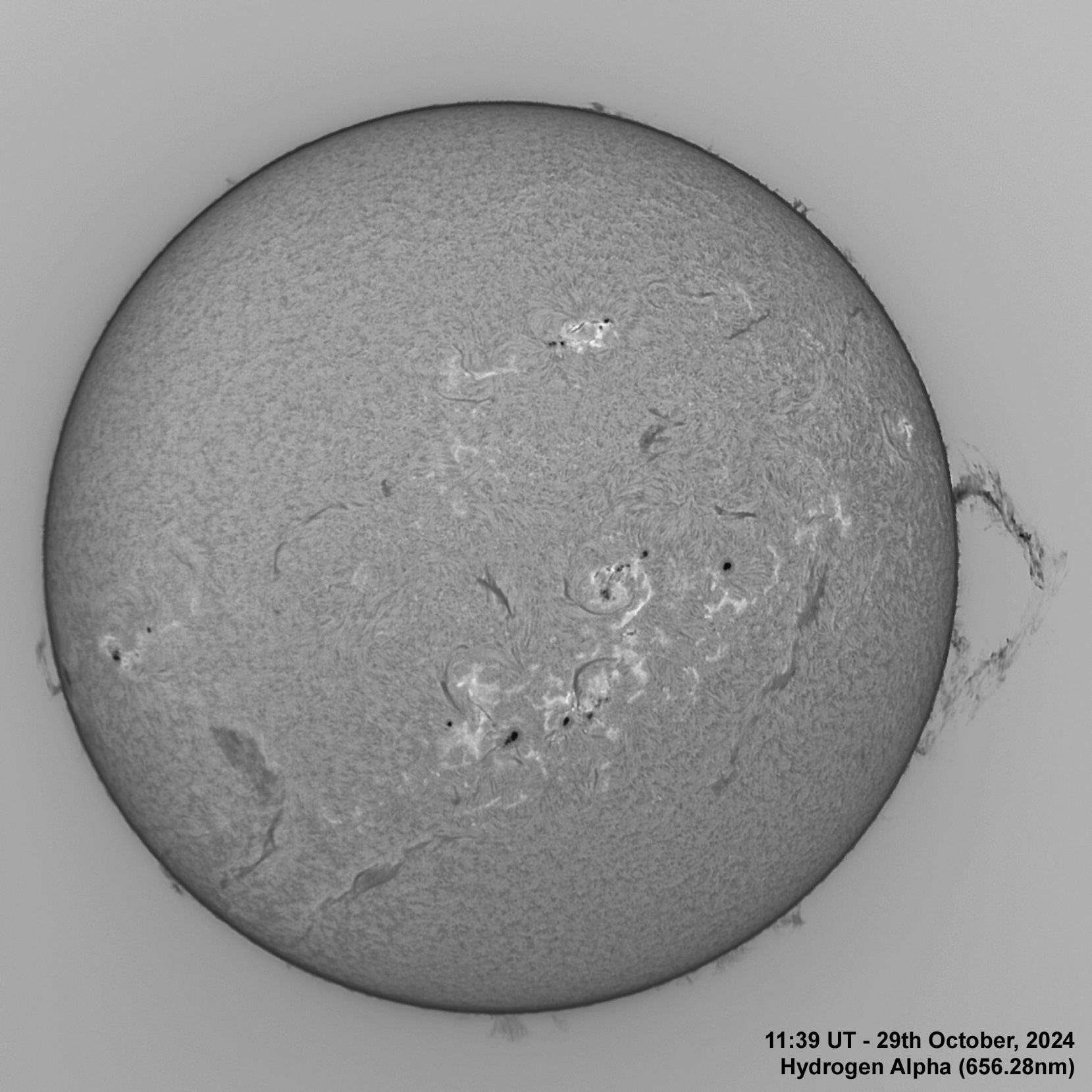 BT_20241029_1139UT_Ha Normal The Sun in Ha - 29th October, 2024
