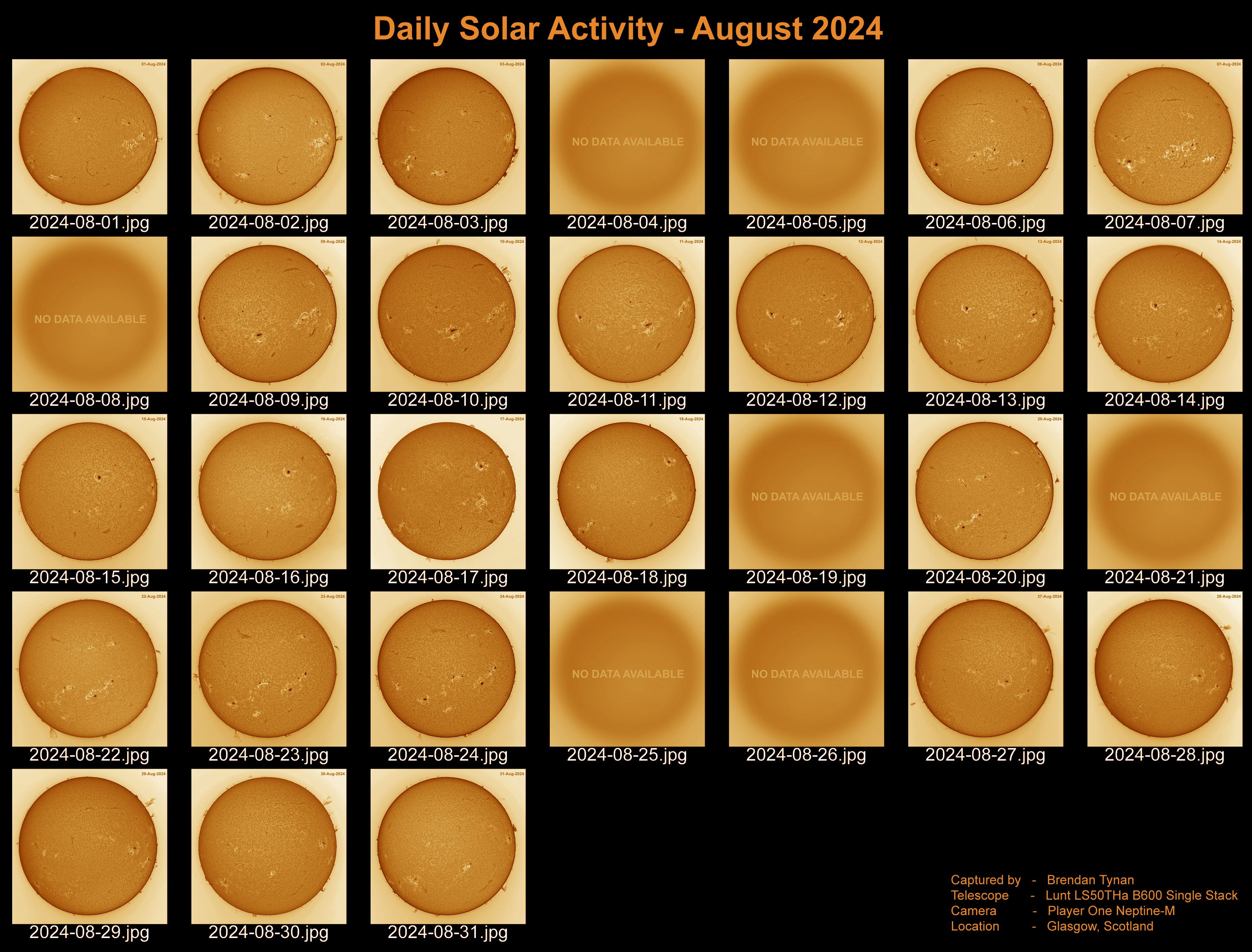 Daily Solar Activity - August 2024 Daily Solar Activity - August, 2024
