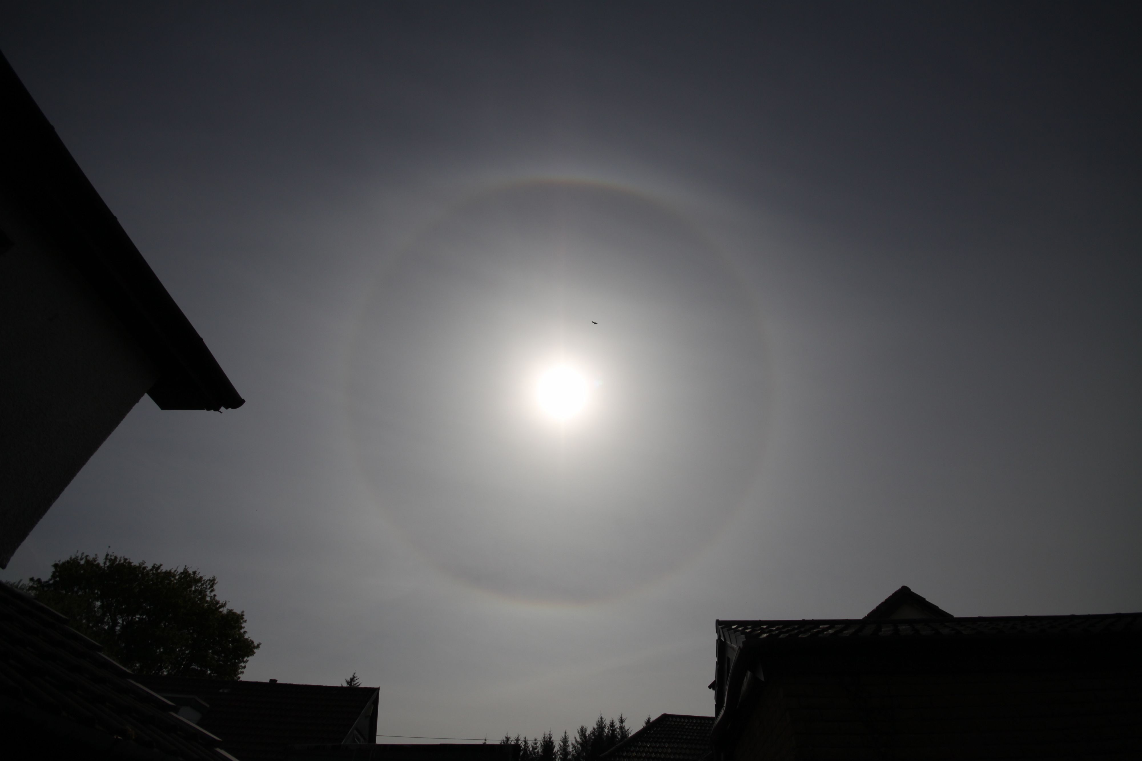 IMG_4646 22 Degree Circumscribed Solar Halo - 28-04-2022