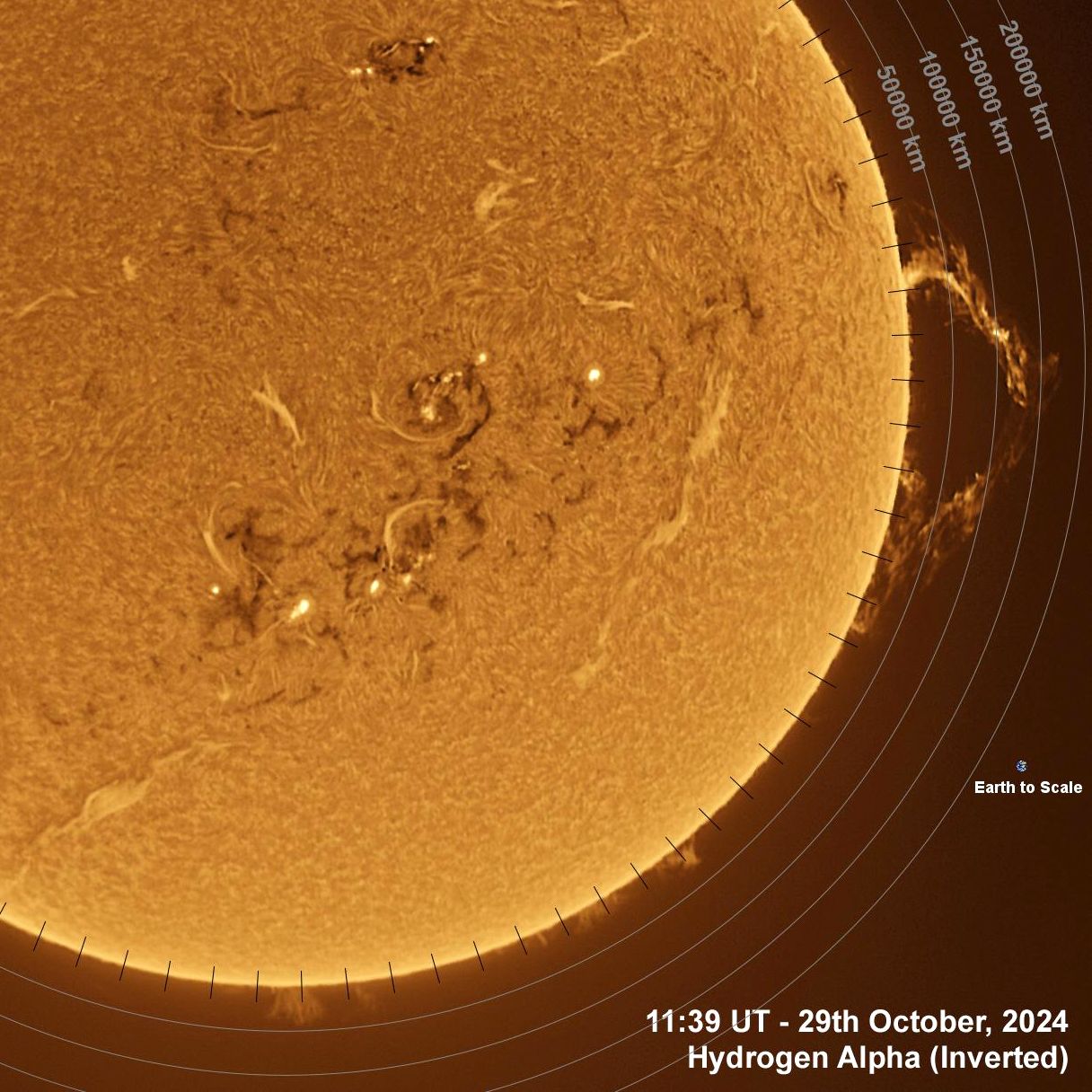 Sun - 29th October 2024 The Sun in Ha - 29th October, 2024