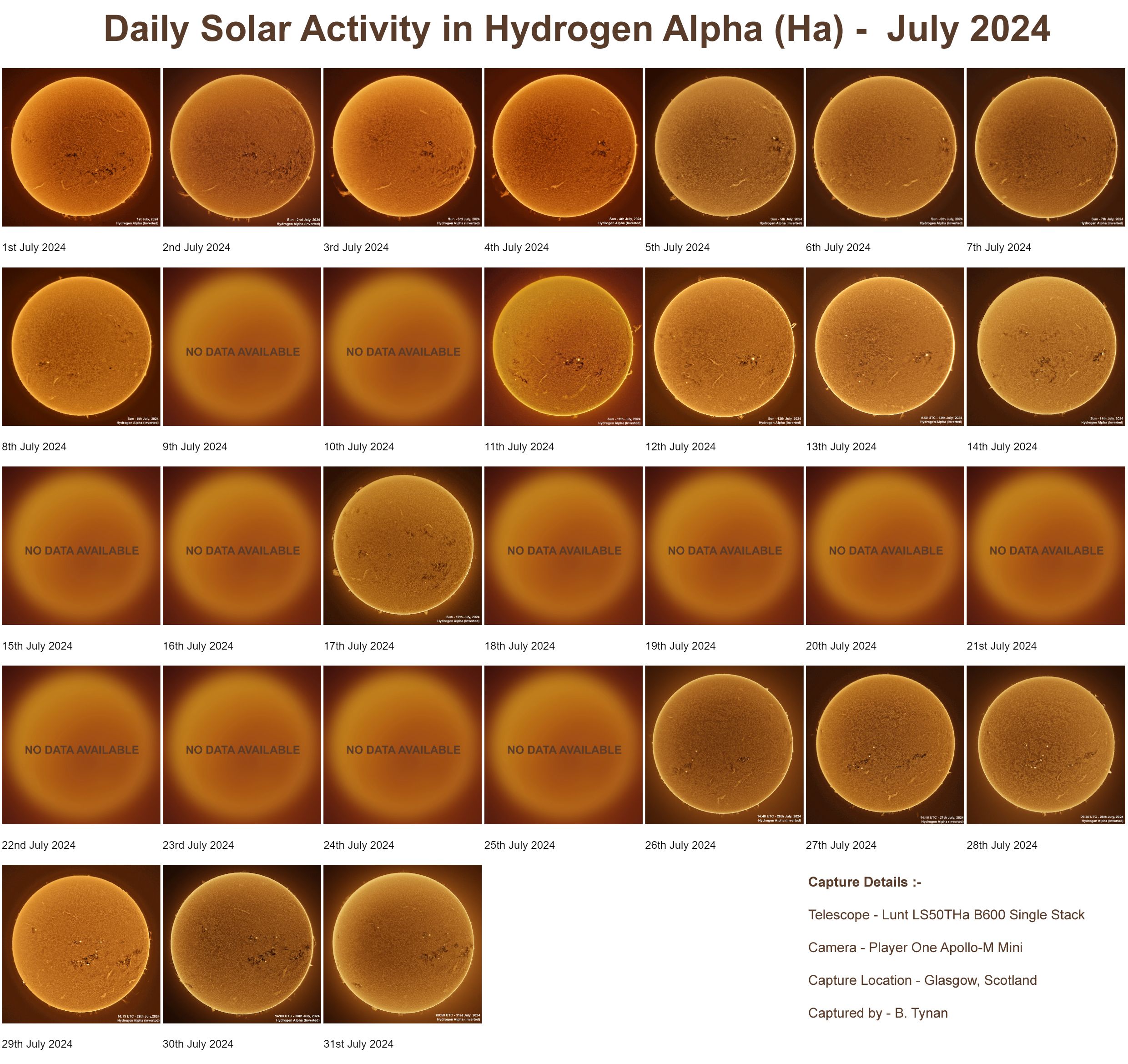 Sun in Ha - July 2024 Wide Solar Activity - July 2024