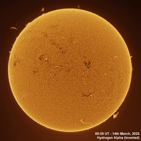 2025-03-14 Solar animation - Ha and White Light, 14th March, 2025