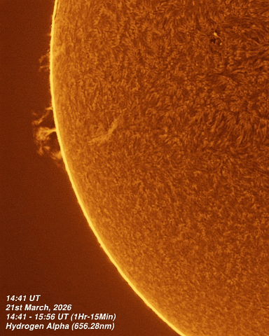 21st March 2026 - Eastern Limb 21st March, 2026 - Sun in Hydrogen Alpha