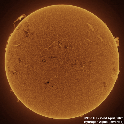 22nd April 2025 Pics 22nd April, 2025 - Sun in Ha CaK & G-Band