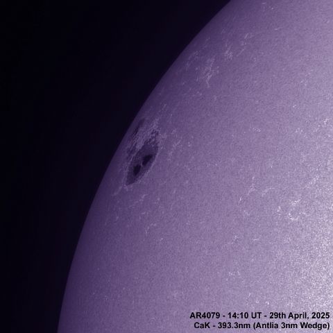 BT_20250429_1410UT_AR4079 CaK Colour AR4079 - 29th April, 2025