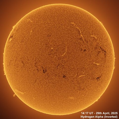 BT_20250429_1417UT Ha Inverted 29th April, 2025 - Sun in Ha