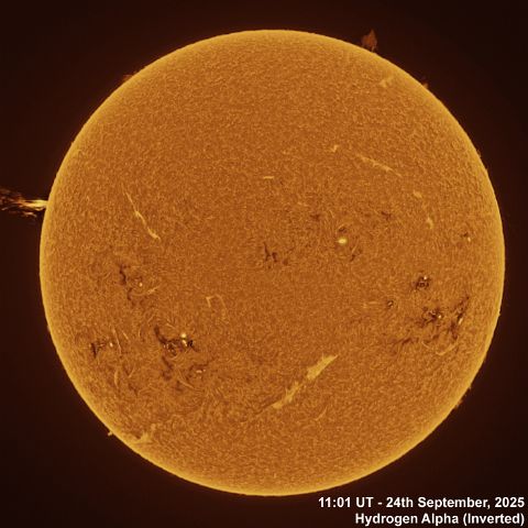BT_20250924_1101UT Ha Inverted 24th September, 2025 - Sun in Ha