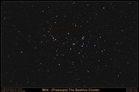 M44 - The Beehive Cluster Messier 44 - The Beehive Cluster